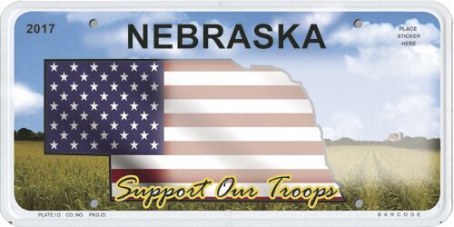 license plates3.jpg